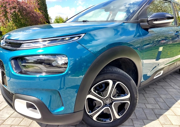 Citroen C4 Cactus cena 47900 przebieg: 77226, rok produkcji 2018 z Grybów małe 326